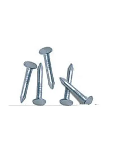 ŞINGIL ÇİVİSİ 2.5CM 1KG ŞINGIL ÇİVİSİ 2.5CM 1KG
